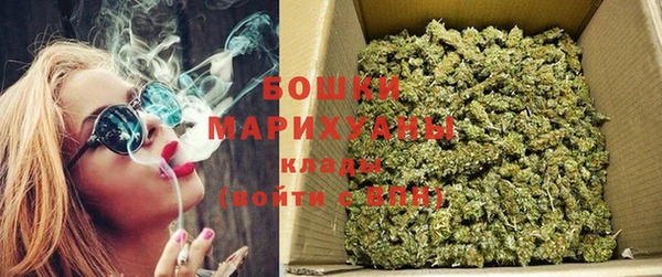 PSILOCYBIN Белоозёрский