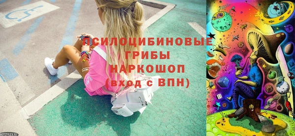 PSILOCYBIN Белоозёрский
