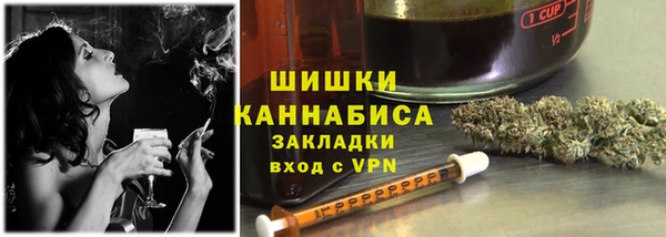 прущие грибы Белокуриха