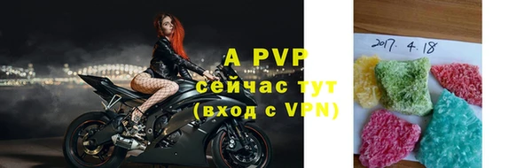 прущие грибы Белокуриха
