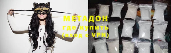 прущие грибы Белокуриха