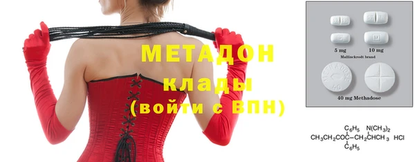 прущие грибы Белокуриха
