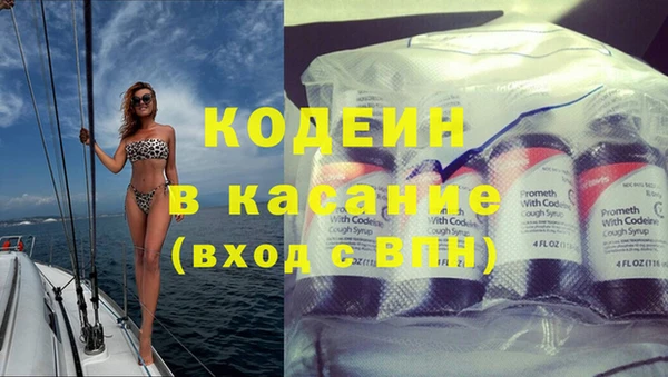 прущие грибы Белокуриха