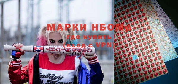 прущие грибы Белокуриха