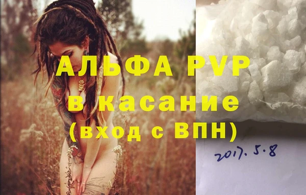 PSILOCYBIN Белоозёрский