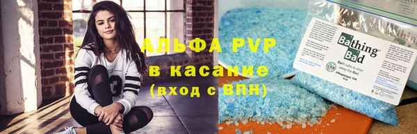 прущие грибы Белокуриха