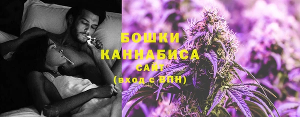 PSILOCYBIN Белоозёрский