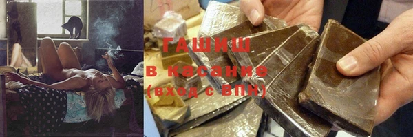 прущие грибы Белокуриха