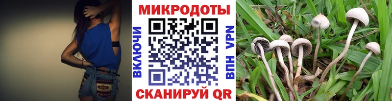 где купить   Горно-Алтайск  Псилоцибиновые грибы Cubensis 