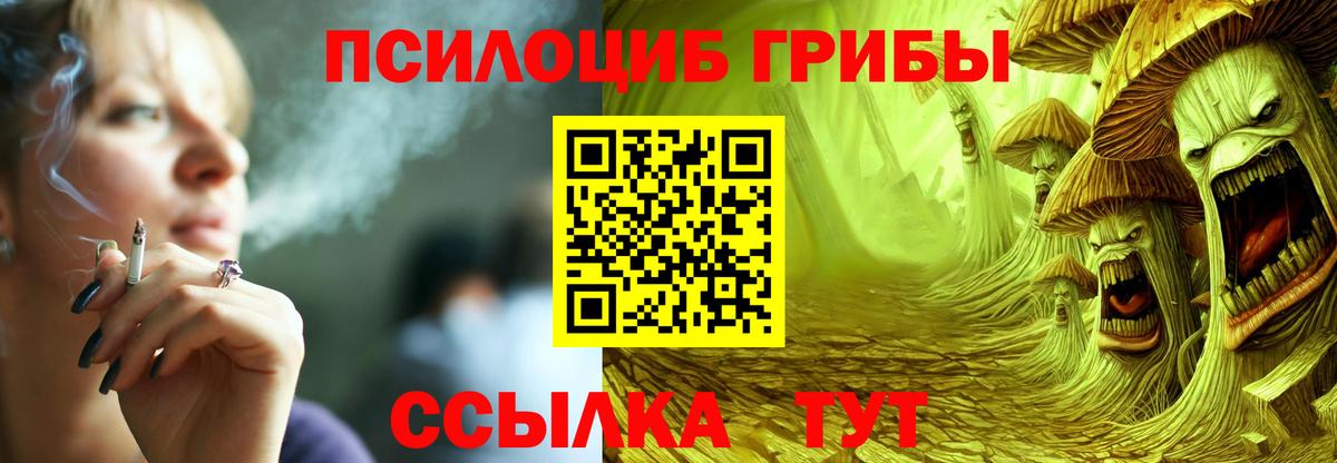 Псилоцибиновые грибы Psilocybine cubensis  где можно купить   Горно-Алтайск  Вход с VPN 
